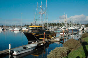 photo of boat in Crescent city harbor