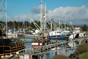 Crab boats in crescent city harbor