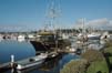 Harbor