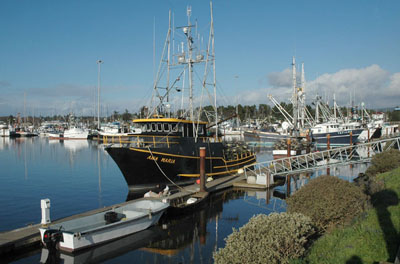 Harbor boats