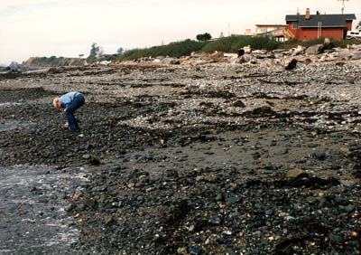 Beachcombing