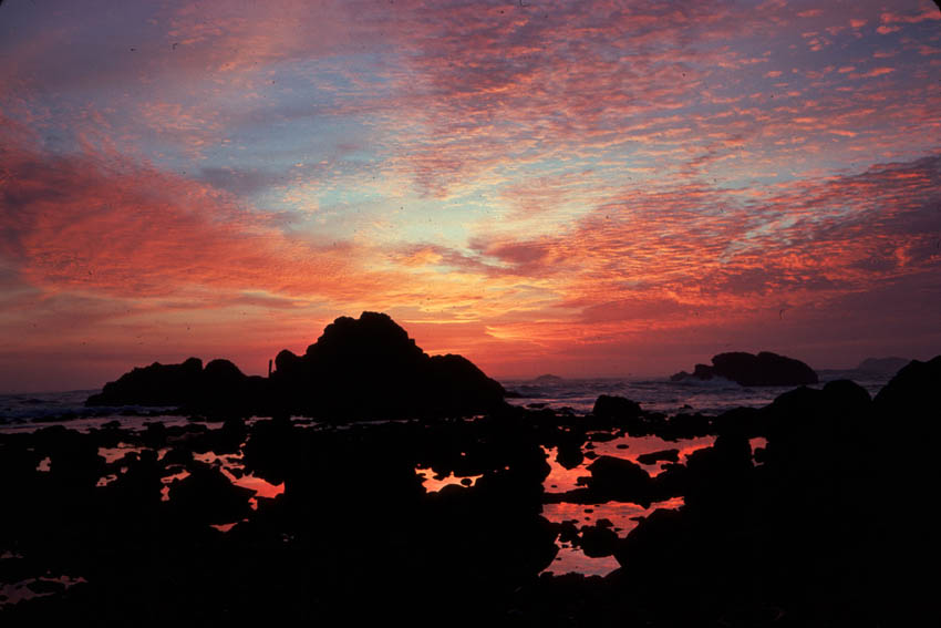 Sunset at the beach in del norte county photo by patt wardlaw