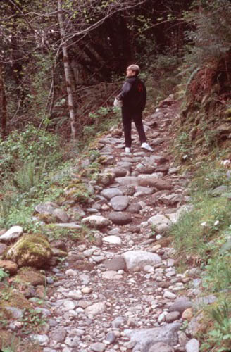 Hiking trail