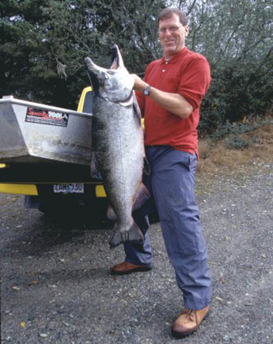 big chinook salmon