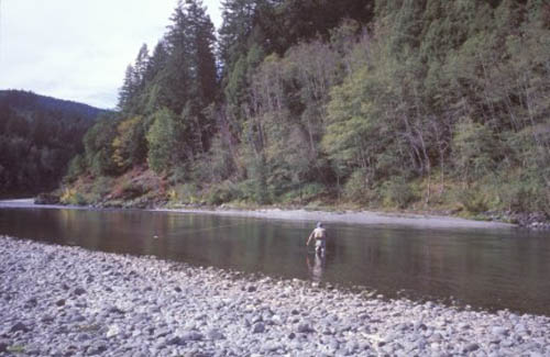 Rogue River