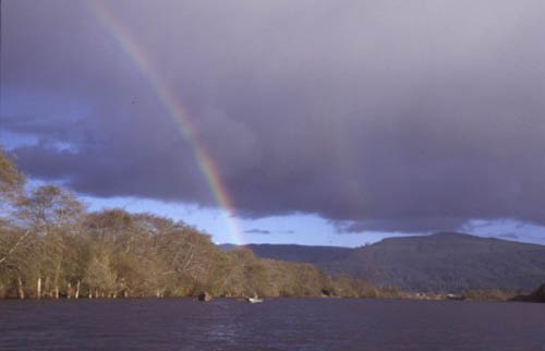 Rainbow on the smith river