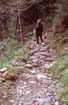 2000-pennytrail